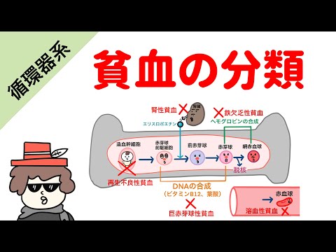 【必見】馬伝染性貧血（EIA）の症状と予防策を徹底解説