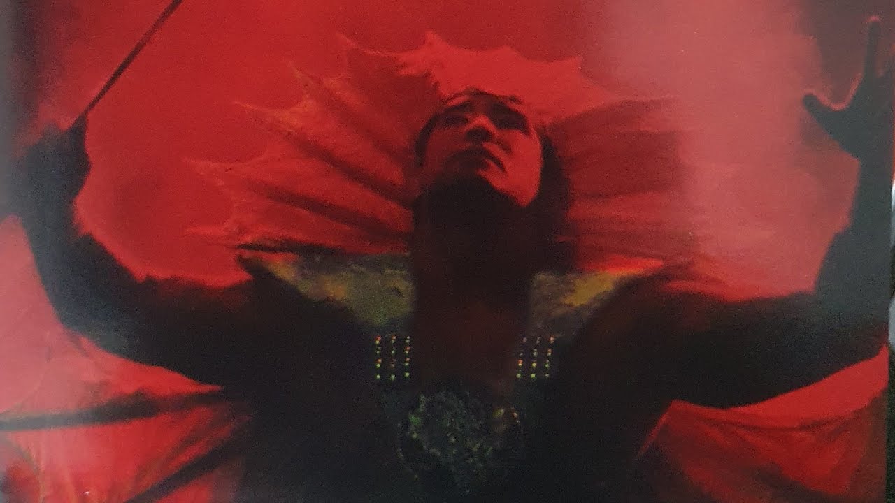 WWE Ricky Steamboat The Life Story Of The Dragon [DVD] YouTube