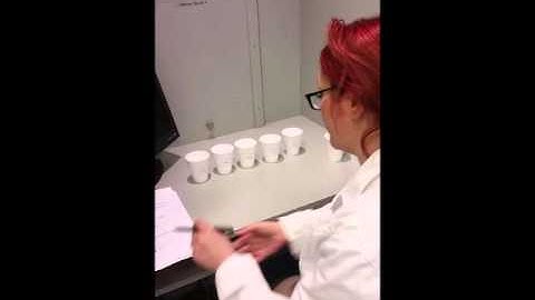 Experiment 9a: Ranking for preference test