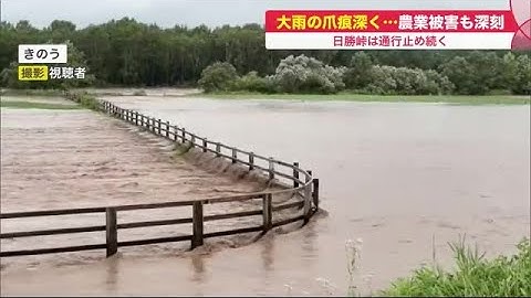 観測史上最大の大雨 茶色に染まった街… 深刻な農業被害も明らかに 日勝峠は通行止め続く (22/08/17 18:55)