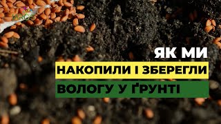 Як зберегти вологу у ґрунті | Накопичення та збереження вологи у ґрунті завдяки ЯРОС