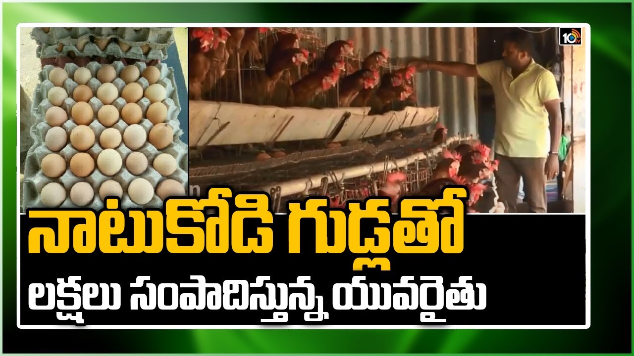 నాటుకోడి గుడ్లతో లక్షలు సంపాదిస్తున్న యువరైతు | Young Farmer Earning Profits With Natukodi Eggs|10TV