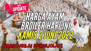 Harga Ayam Broiler Hari Ini Senin 06 Juni 2022. 