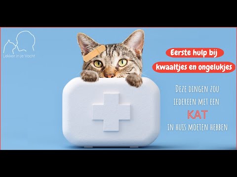 Video: EHBO-doos Voor Katten