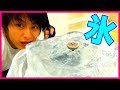 氷のスタジアムでベイバトル！【ベイブレードバーストゴッド】