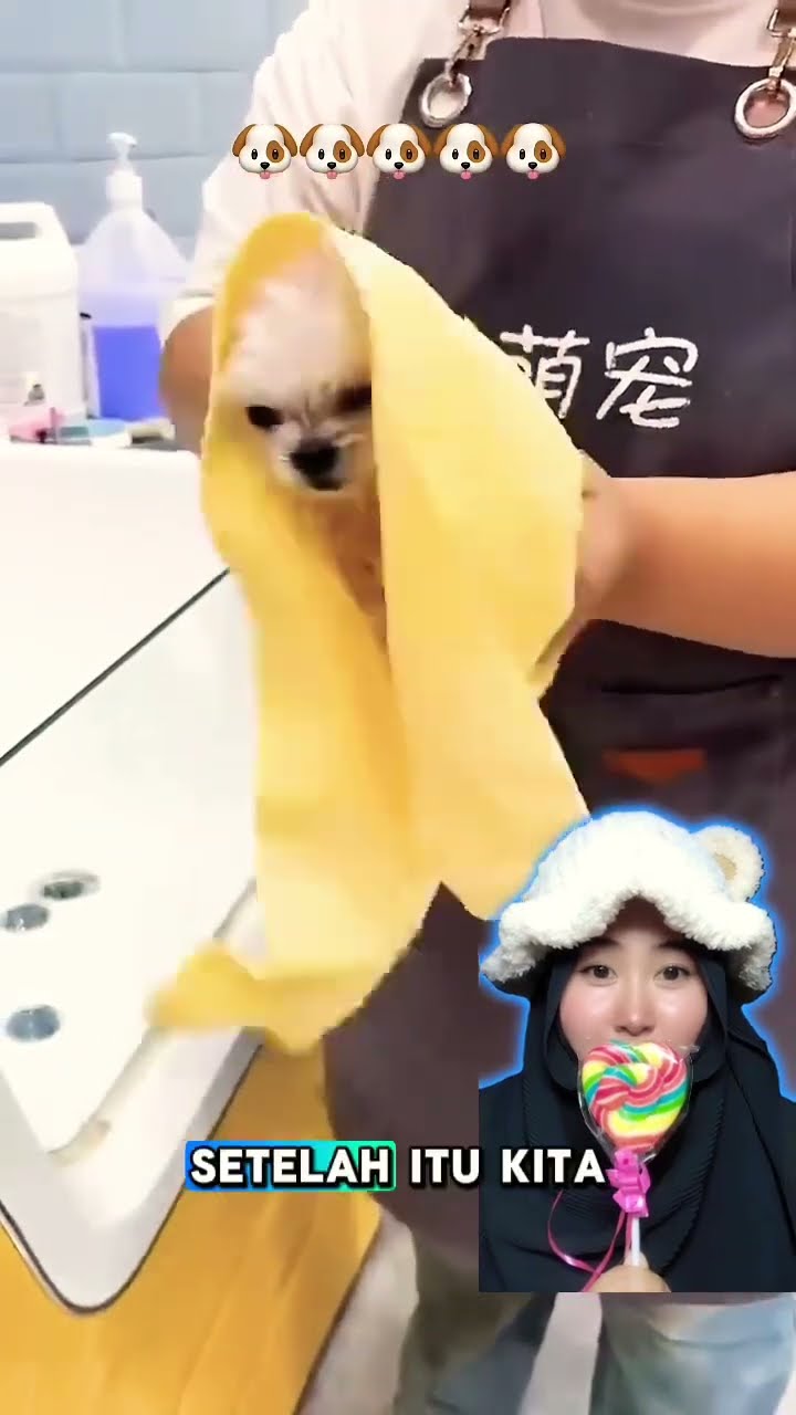 MENURUT KALIAN PUPI AKU CANTIK GAK ⁉️ #shorts #funny #dubbing