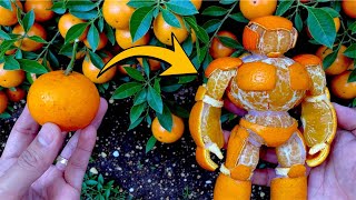 Homemade Orange Man Using Orange 🍊🍊