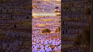 Makka madina short viral video stetus #makkah viral content #shortvideo #foryou