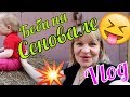 VLOG: Задумали ПЕРЕДЕЛКУ и ПОКУПКИ с Али