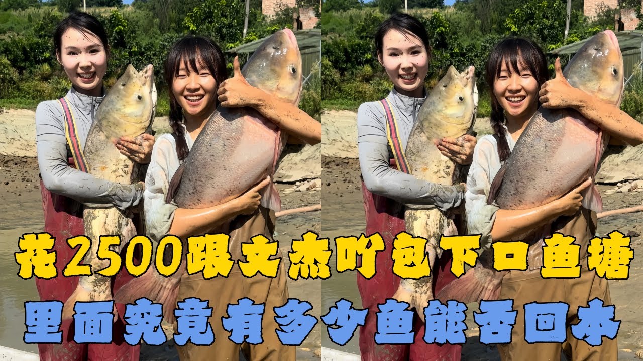 幺妹花2500元跟文杰吖包下一口鱼塘，里面究竟有多少鱼能否回本？