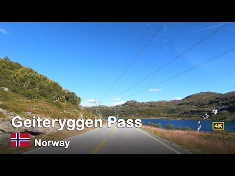 Video: De bedste roadtrips at tage på i 2019