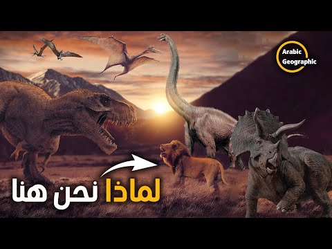 فيديو: من أين أتت الديناصورات؟