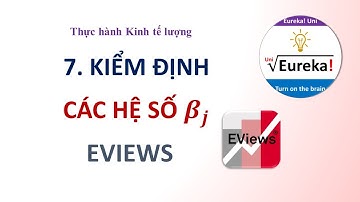 EViews 7. Kiểm định giả thuyết cho các hệ số hồi quy trong Eviews - Hướng dẫn EViews Kinh tế lượng