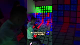 Elevate Fun Fitness With Our Led Interactive Floor