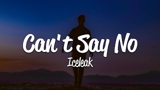 Iceleak - Can't Say No (Lyrics)