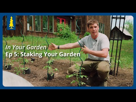 In Your Garden | Ep 5: Staking Your Garden