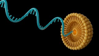 Localized production of nucleic acid nanomedicines | Frontiers in Science