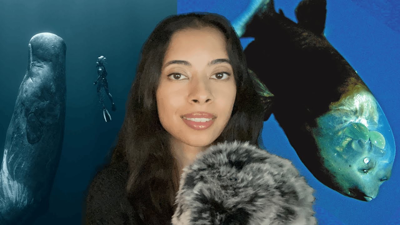 ASMR ocean mysteries iceberg