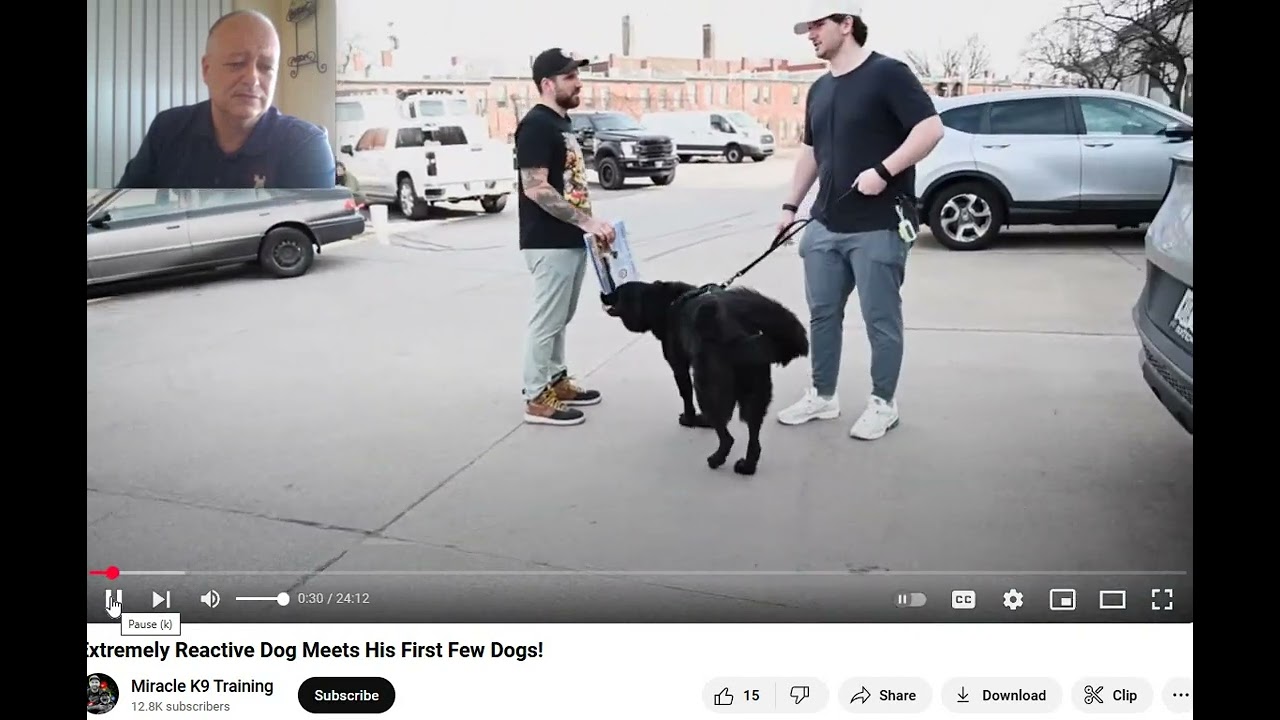 Miracle K-9 Training - Dialed into what Balanced Dog Training Represents - Flipping the Script