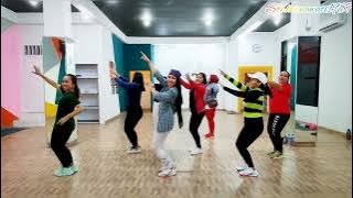 TERLALU by shinta Arshinta/zumba/senam kreasi/dangdut/lilac choreo