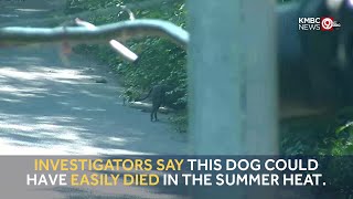Man charged after reportedly abandoning dog in Kansas City