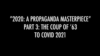 2020: A Propaganda Masterpiece 3/3 | Mark Crispin Miller | Perspectives on the Pandemic (2021) ⚕️