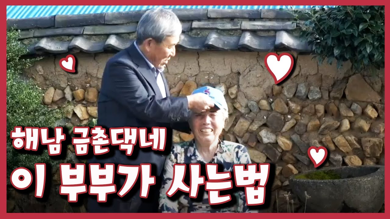 [남도지오그래피] 이 부부가 사는법, 해남 금촌댁네｜KBS 210913 방송