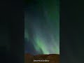 Yılın ilk #kuzeyışıkları evimin önündençektim#aurora #northernlights #nordlys #norveç #norway#shorts