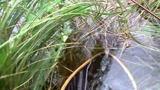 MOV20110728_004.mp4