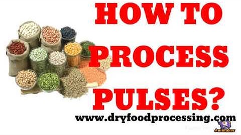 Pulse Processing Plant: Informative Video