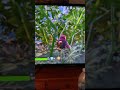 Got mad in tournament #rage #fortnite #funny #notcool #makethisgoviral