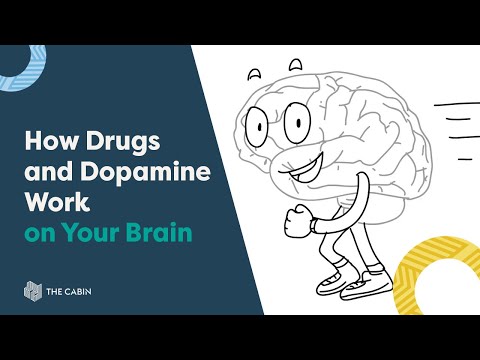 How Drugs and Dopamine Work on Your Brain - The Cabin Chiang Mai Rehab Centre in Thailand