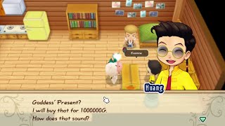 How to Get 1 Million Gold | Story of Seasons Friends of Mineral Town