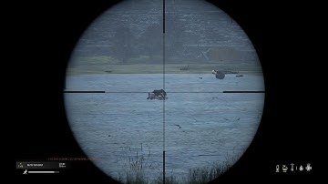 DayZ / Lucky no Scope