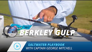 Famous Berkley Gulp | 2022 Saltwater Playbook Net Worth