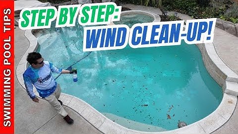Pool Clean-Up After a Wind Storm: Step by Step Video!