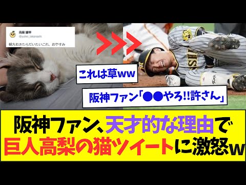 巨人高梨が猫ツイート→阪神ファンが天才的な理由でブチギレるwww【なんJなんG反応】【2ch5ch】