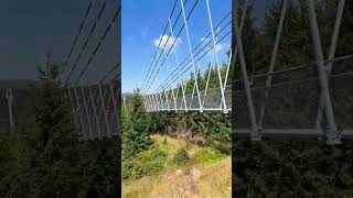 End Of Sky Bridge 971, Morava, Czech Republic