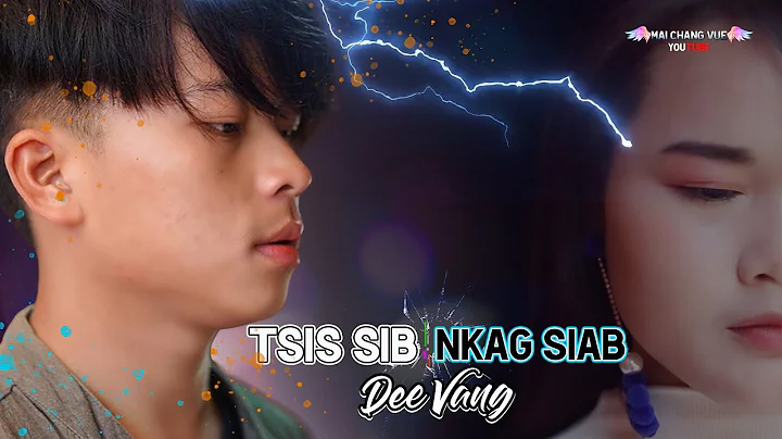 Tsis Sib Nkag Siab - Dee Vang [ New Song 2022 ]