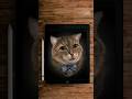 Art artist artwork digitalart youtubeshorts drawing viral painting fyp yt cat cats fyp