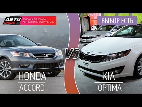 Выбор есть! - Honda Accord и KIA Optima