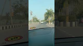 Enjoying raiding #bunnies #rabbit #bunny #business #bunnyoftheday #youtubshorts#bunnylover