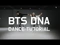 BTS (방탄소년단) DNA 안무 배우기 거울모드 DANCE TUTORIAL MIRRORED (춤추는곰돌 AF STARZ)