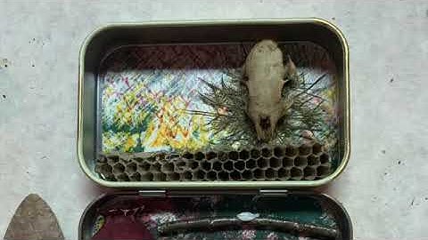 Found Object Assemblage Art - "This New Day" Time Lapse