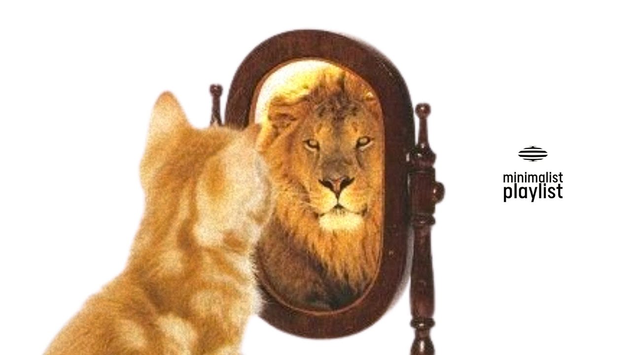 꾸밈없다고 꿈이 없진 않다 | playlist