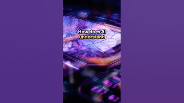 How does AI know which words are similar? What is Embedding in AI? | How Machines Represent Meaning