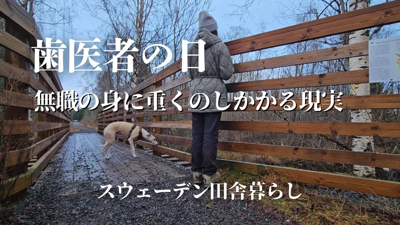 スウェーデン歯医者リアル、補助込みで8万円超え..!?無職の冬にキツい現実。愛犬と散歩で癒された日。