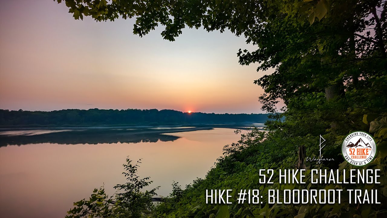52 Hike Challenge - Hike # 18: The Bloodroot Trail (Section)