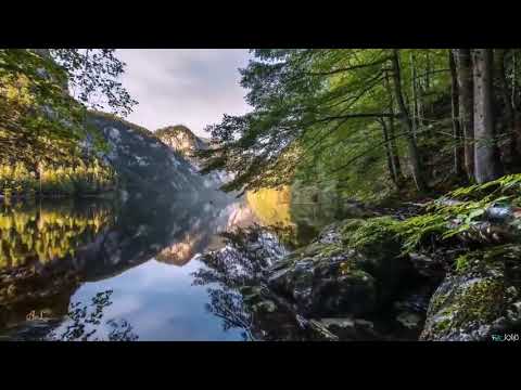 کلیپ زیبا ودیدنی ازشگفتی های طبیعت در یک سفر کوتاه