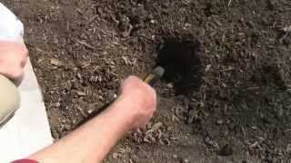 Pinpointing Tips with the Garrett Pro Pointer (HD)